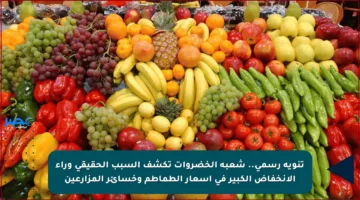 تنويه رسمي.. شعبة الخضروات تكشف السبب الحقيقي وراء الانخفاض الكبير في أسعار الطماطم وخسائر المزارعين